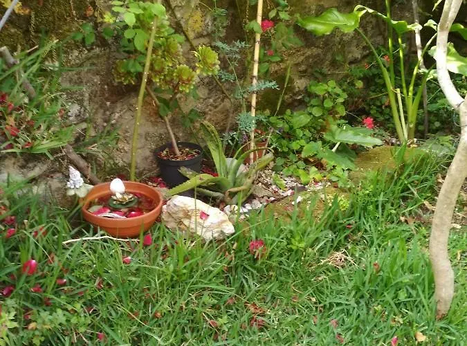 Eira Do Vento Tatil Evi